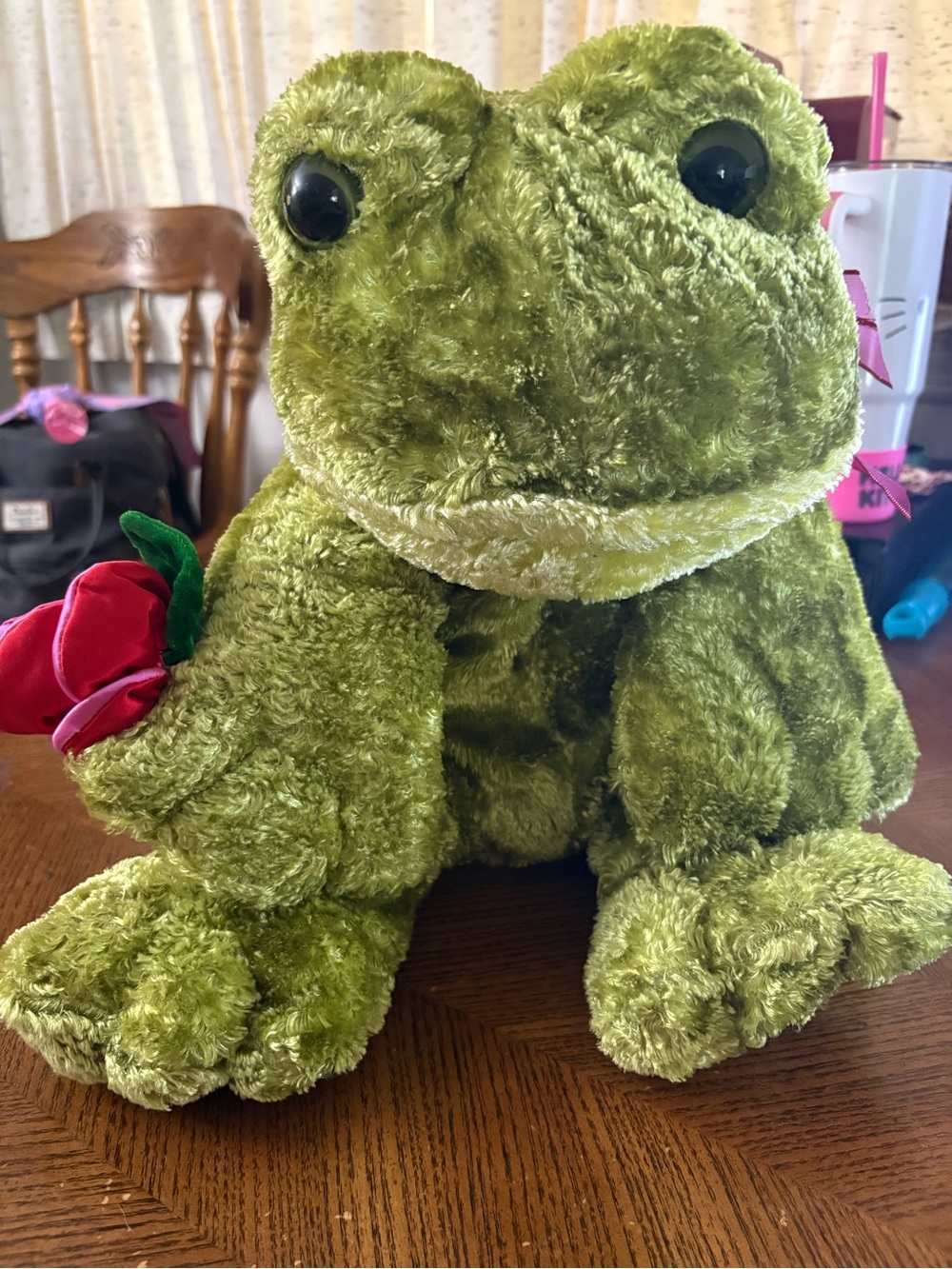 Dan Dee stuffed frog